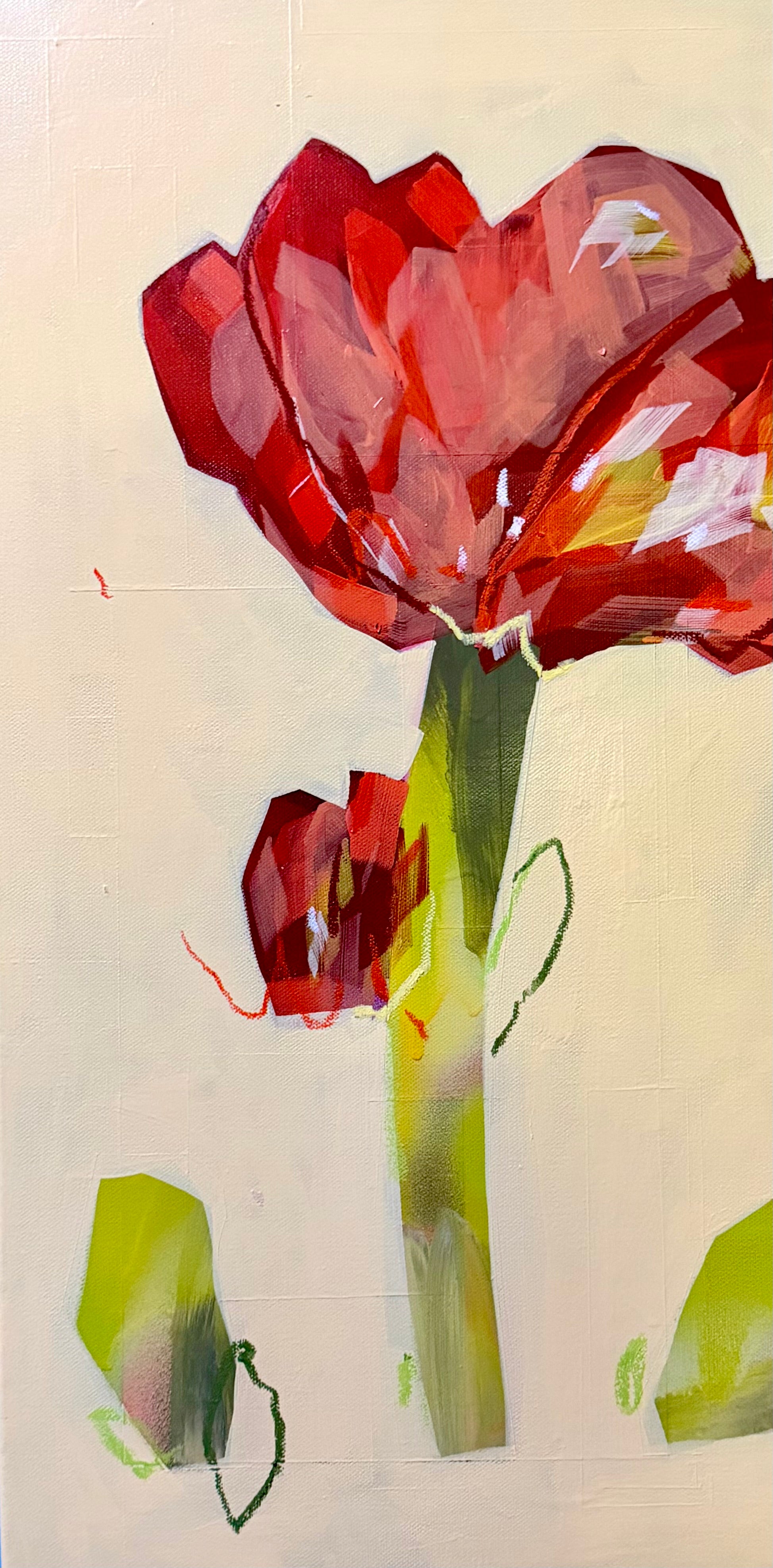 Poppy