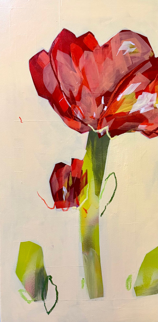 Poppy