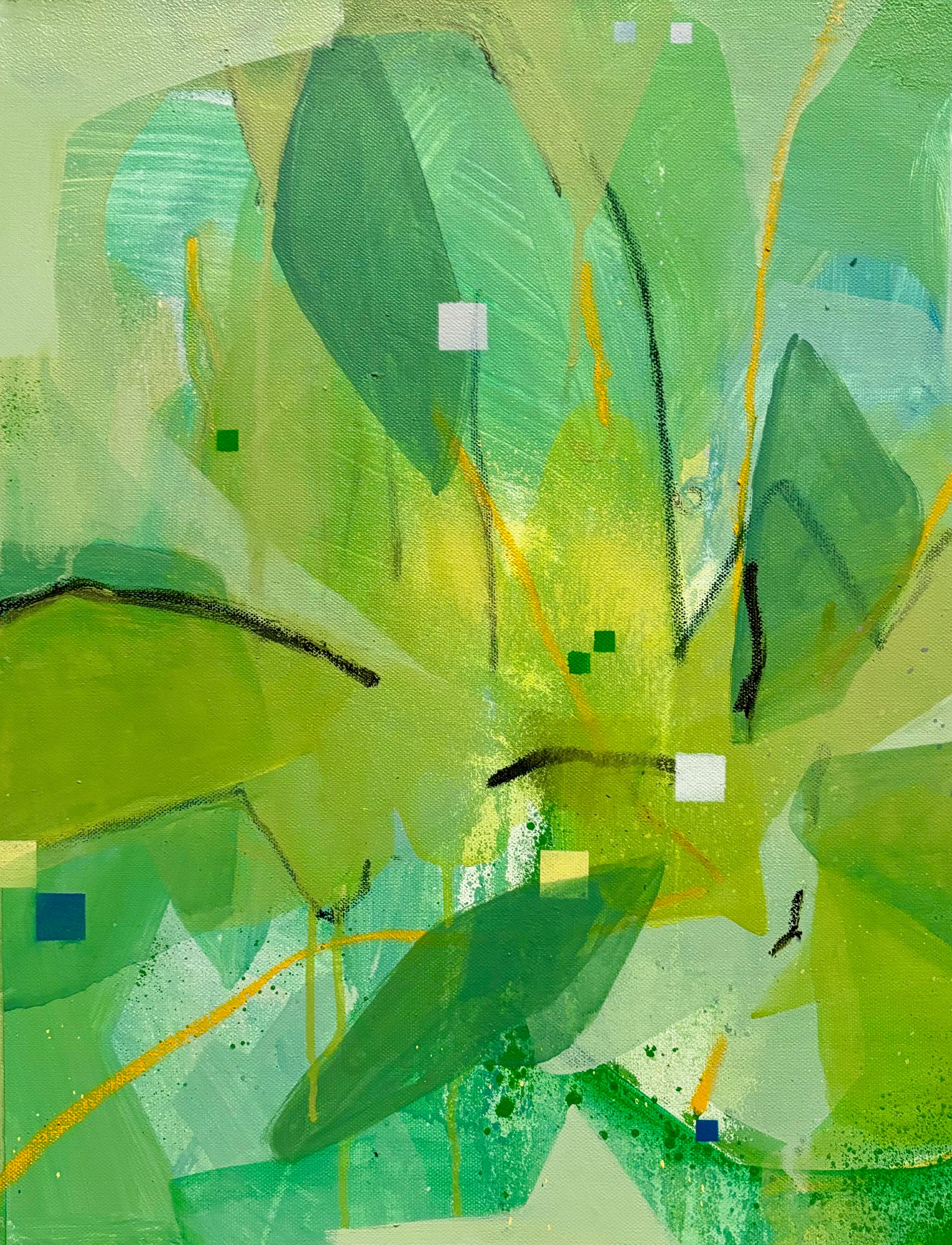Spring Palm