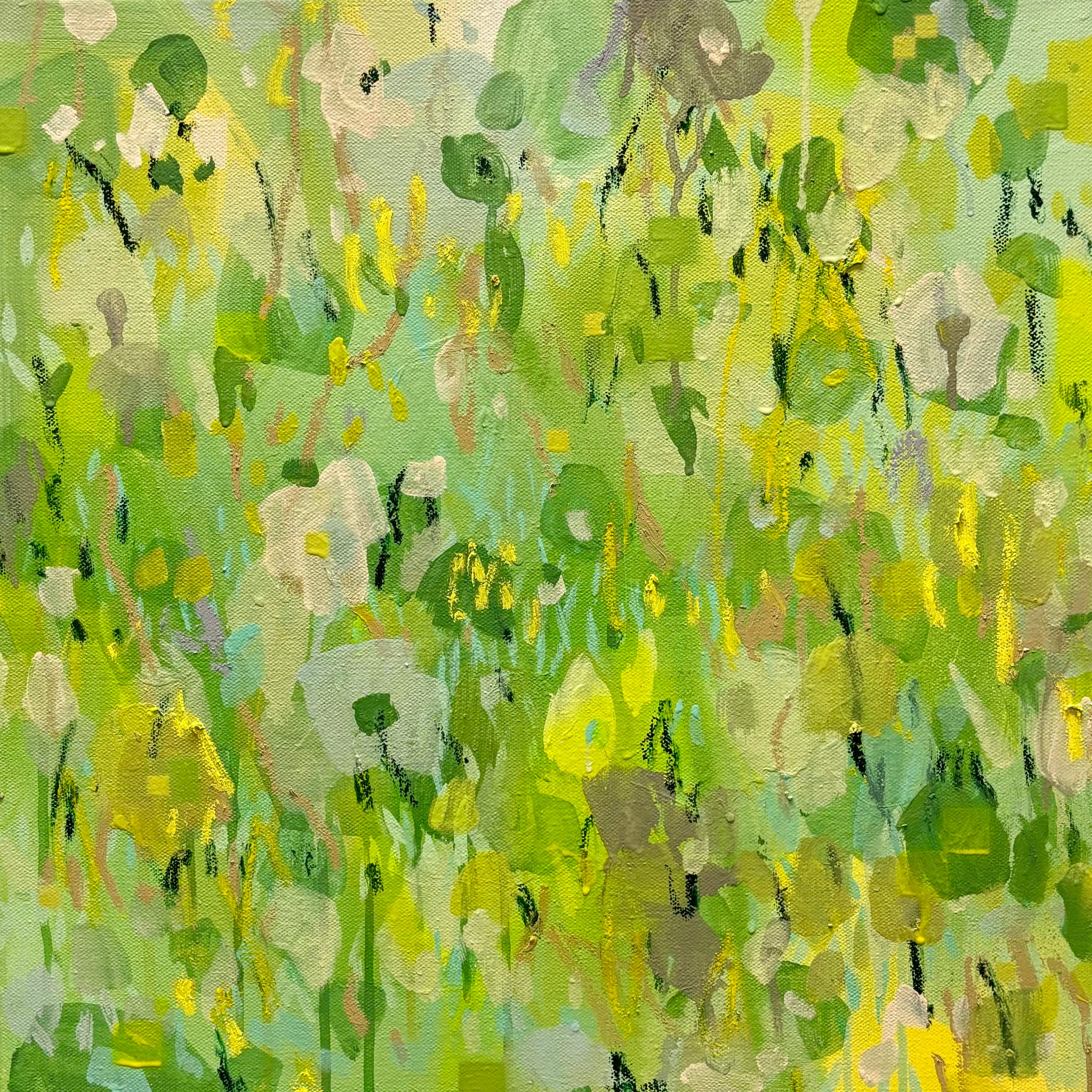 Field of green 1