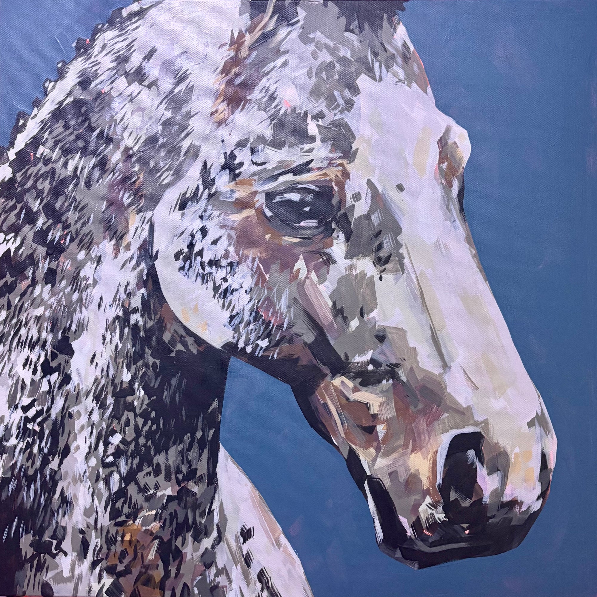 Pony