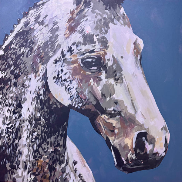 Pony